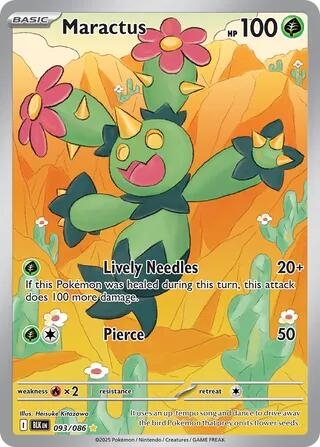 Maractus