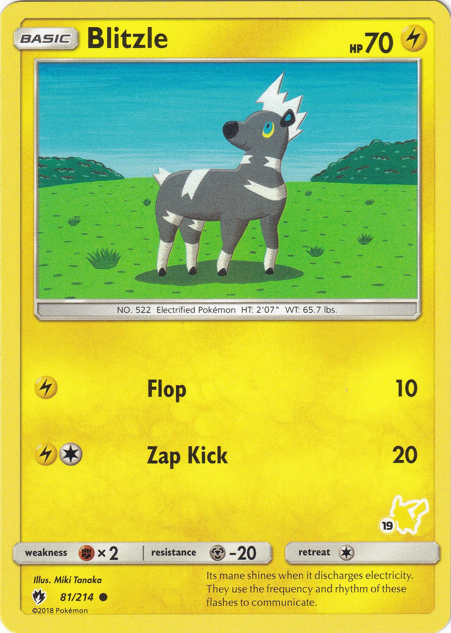 Blitzle - 81/214 (#19 Pikachu Stamped)