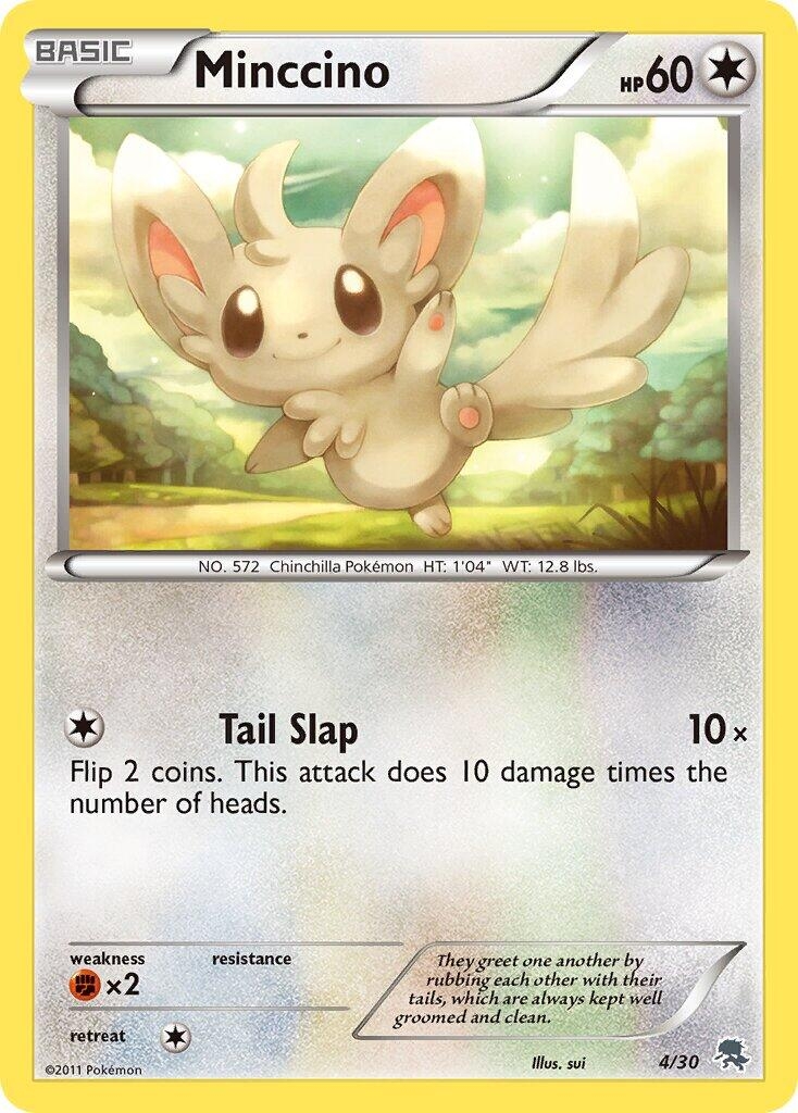Minccino (#4)