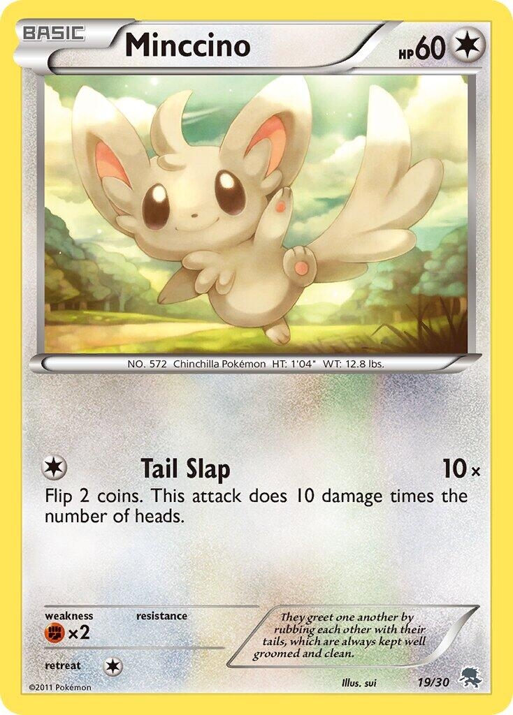 Minccino (#19)