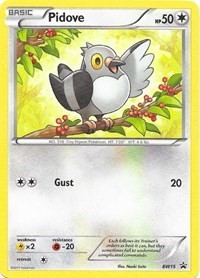 Pidove - BW15