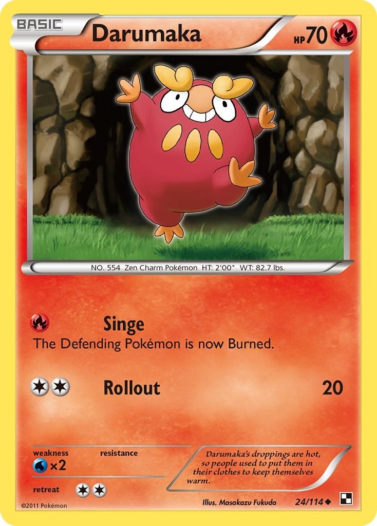 Darumaka (24)