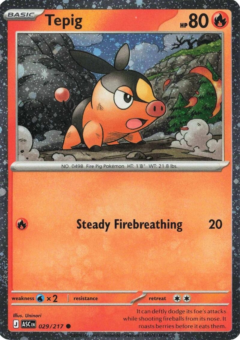 Tepig - 029/217 (Cosmos Holo)